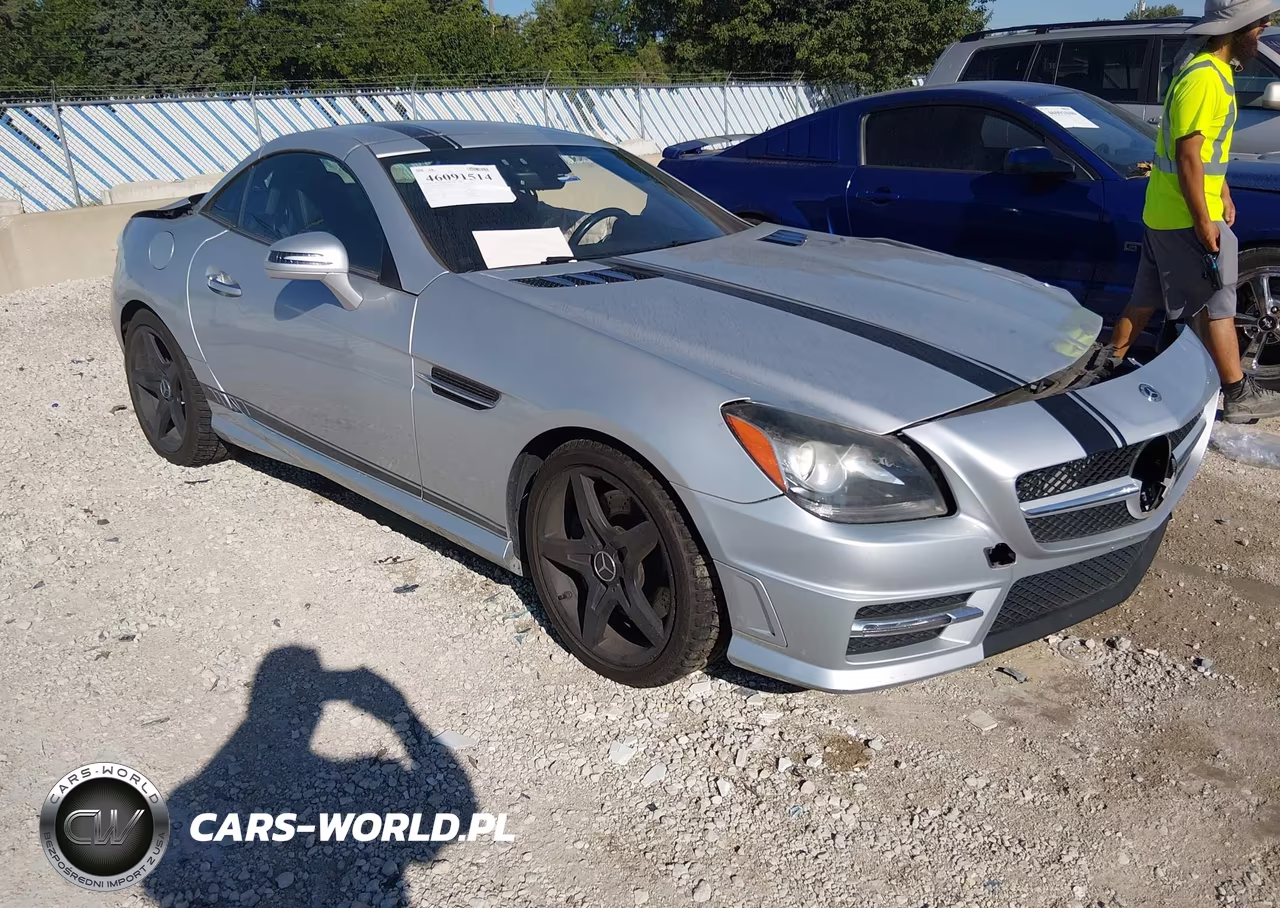 2013 Mercedes-Benz Slk 250