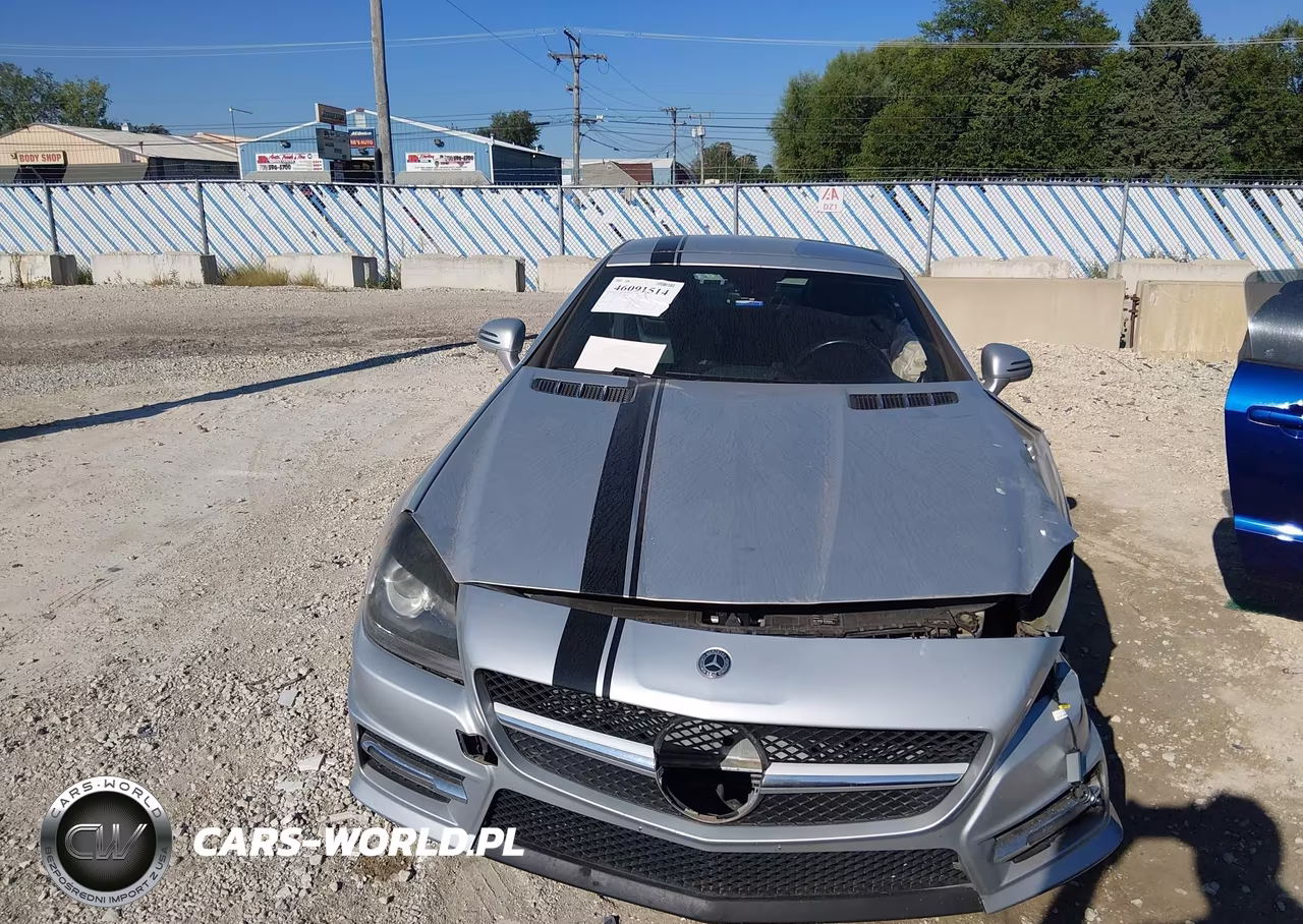 2013 Mercedes-Benz Slk 250 VIN:WDDPK4HA2DF061503 - 12