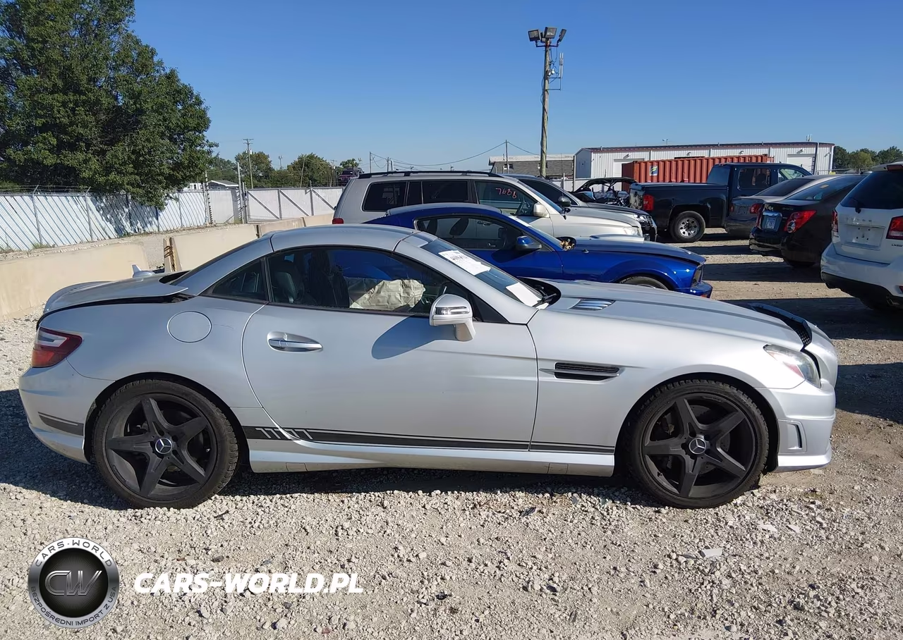 2013 Mercedes-Benz Slk 250 VIN:WDDPK4HA2DF061503 - 13