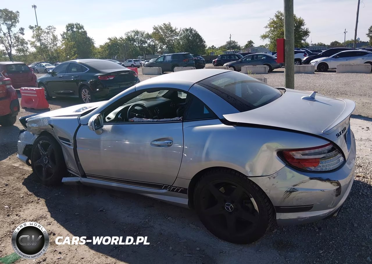 2013 Mercedes-Benz Slk 250 VIN:WDDPK4HA2DF061503 - 14