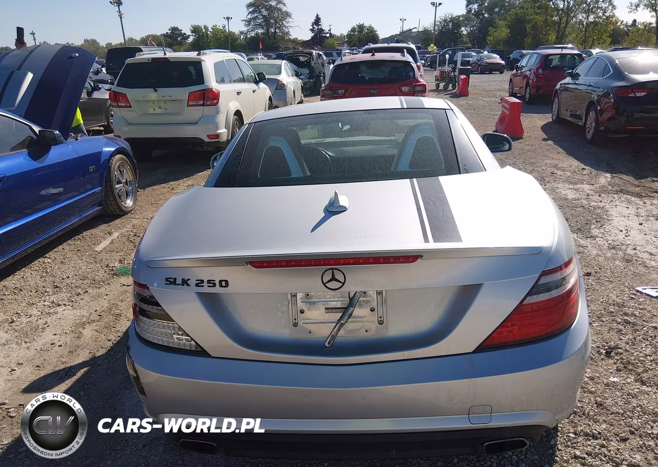 2013 Mercedes-Benz Slk 250 VIN:WDDPK4HA2DF061503 - 16
