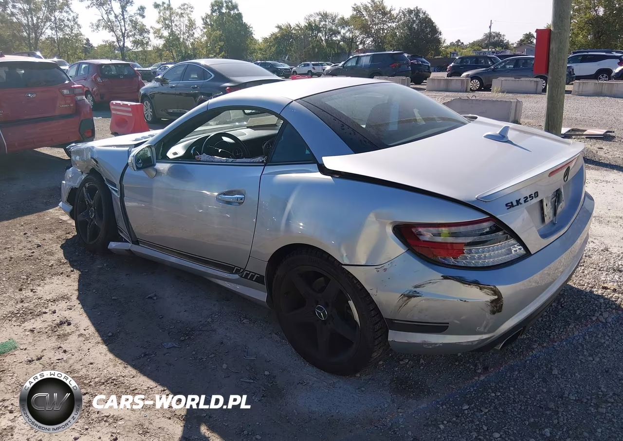 2013 Mercedes-Benz Slk 250 VIN:WDDPK4HA2DF061503 - 3