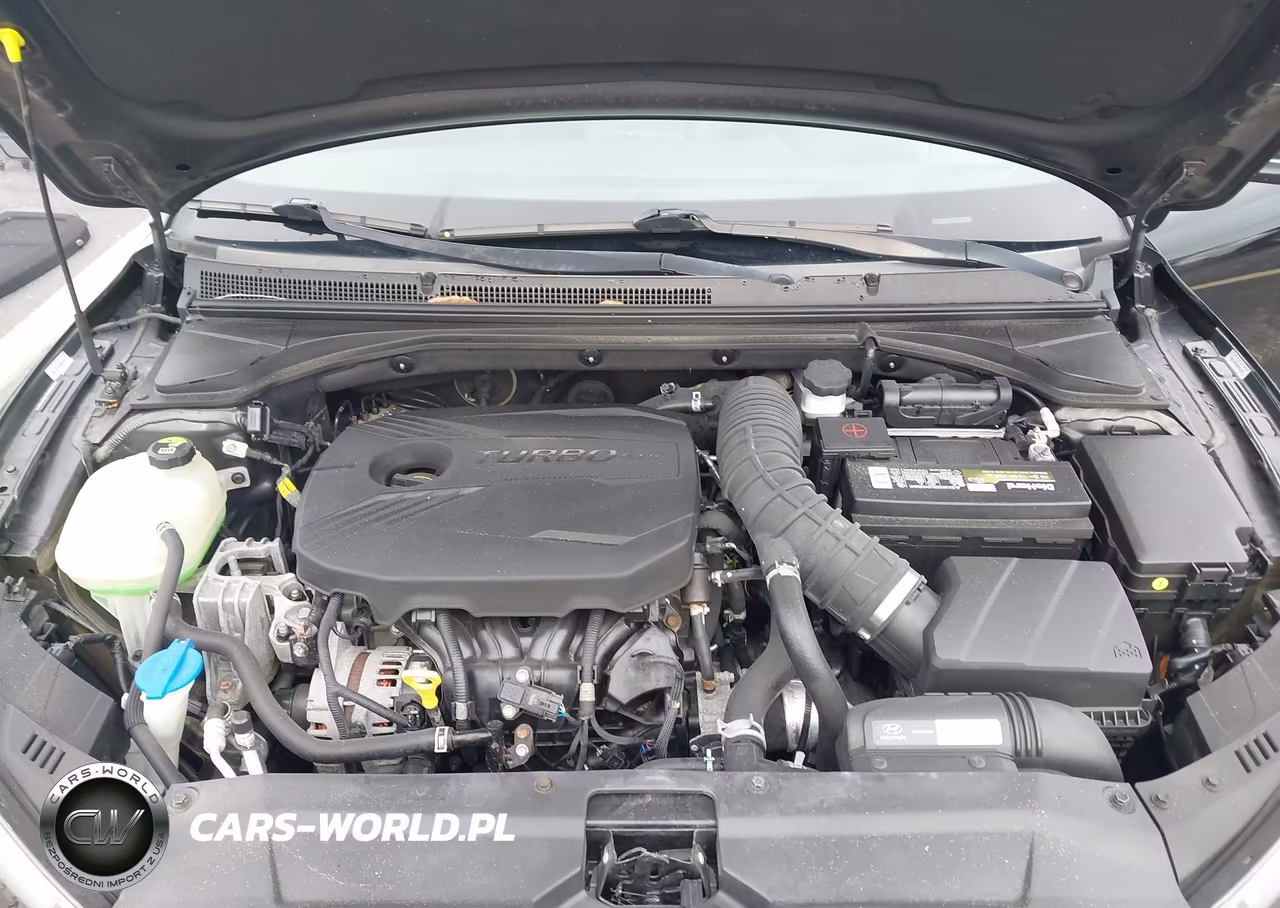 2019 Hyundai Veloster Turbo VIN:KMHTH6AB9KU011403 - 10