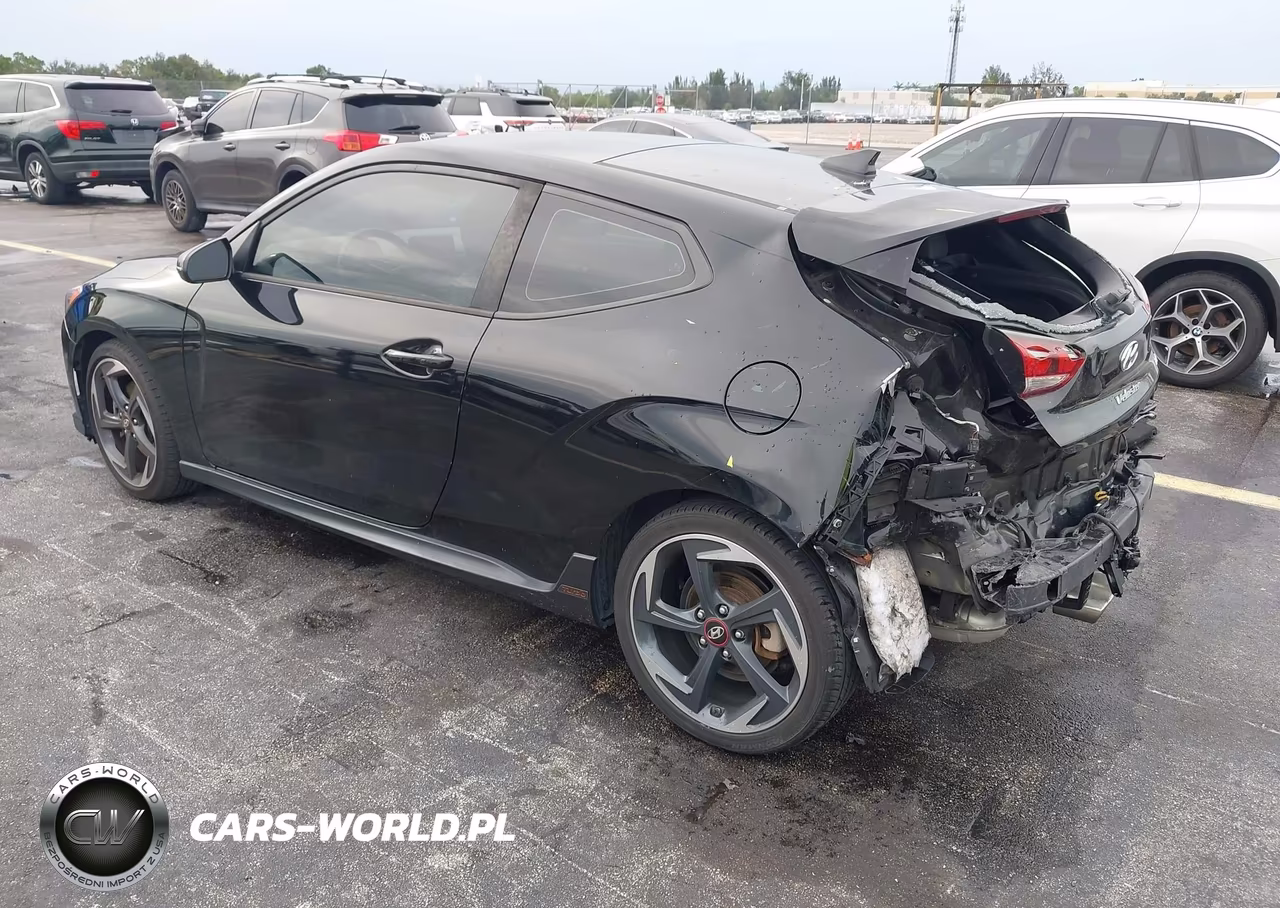 2019 Hyundai Veloster Turbo VIN:KMHTH6AB9KU011403 - 3