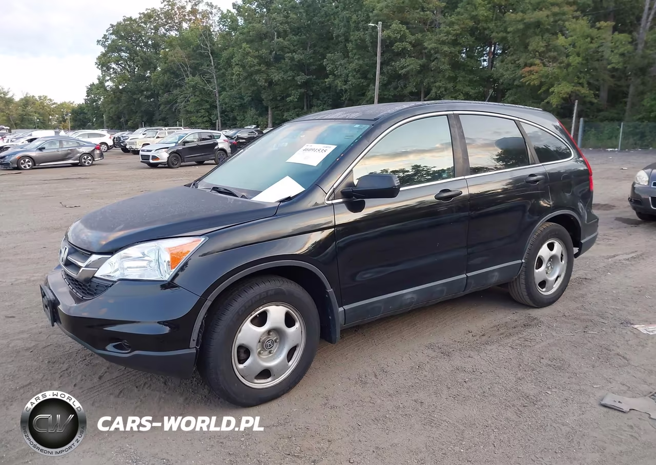 2010 Honda Cr-V Lx VIN:5J6RE3H3XAL023384 - 2