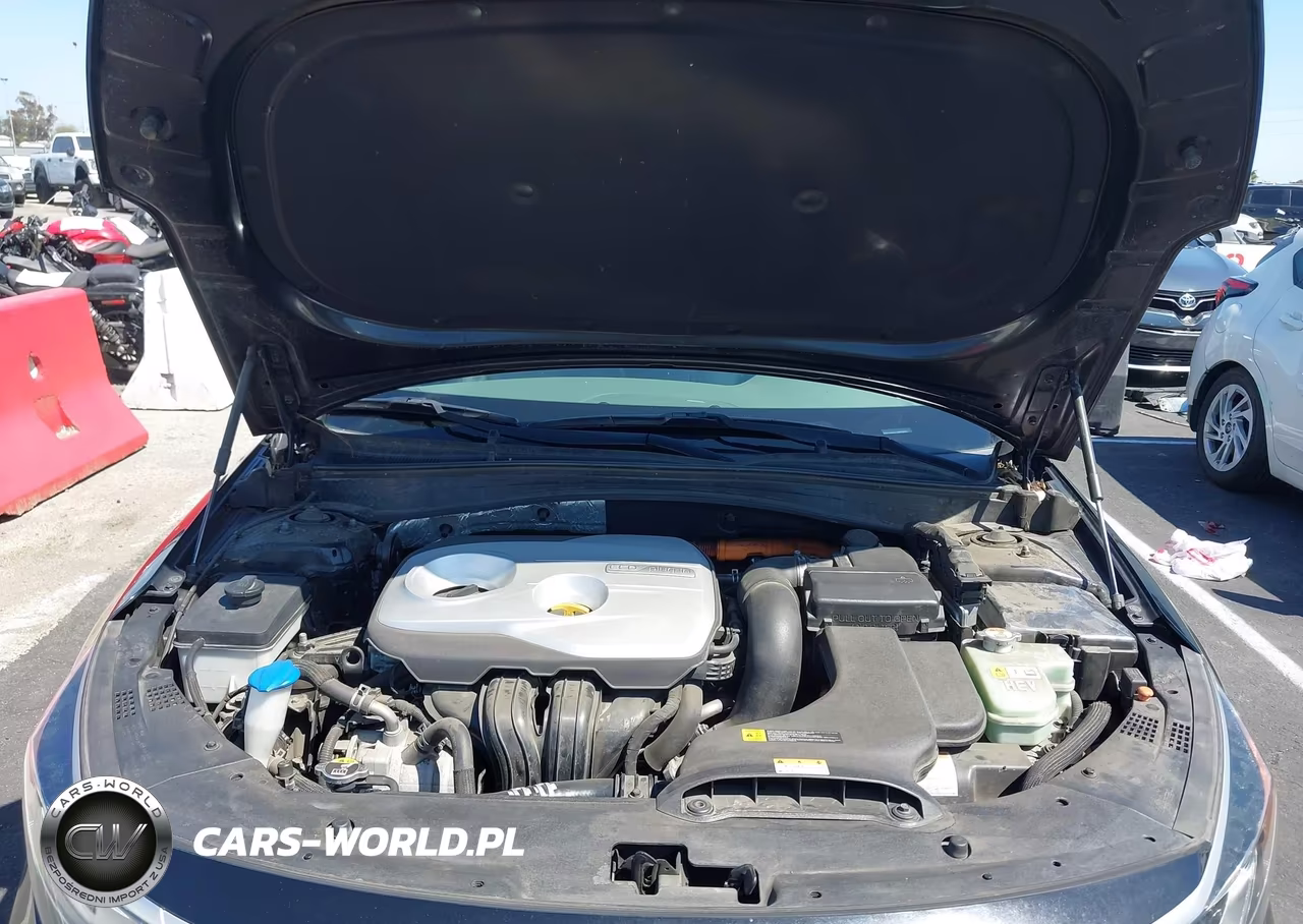 2017 Kia Optima Plug-In Hybrid Ex VIN:KNAGV4LD8H5019039 - 10