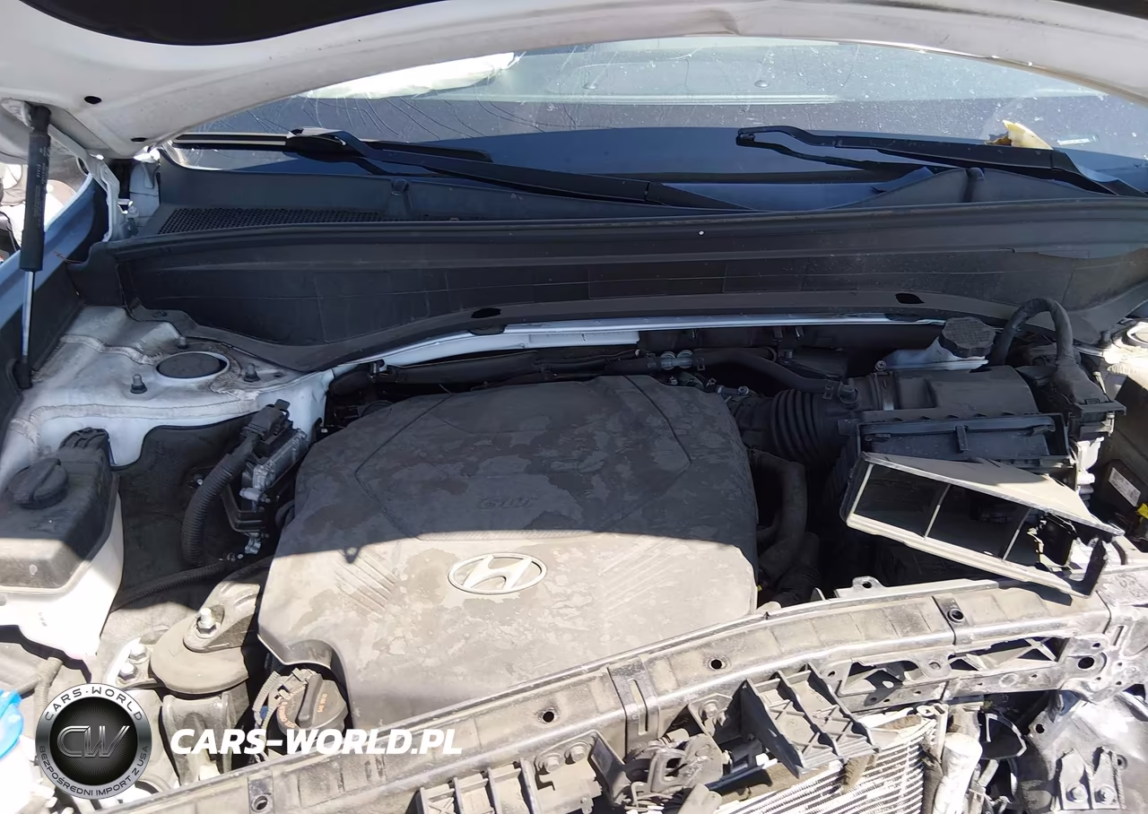 2021 Hyundai Palisade Sel VIN:KM8R24HE9MU278849 - 6