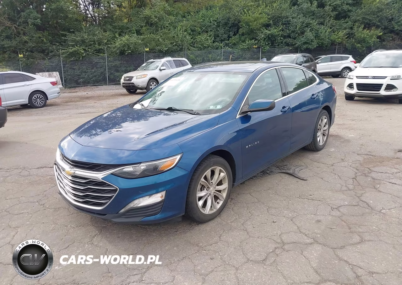 2019 Chevrolet Malibu Lt VIN:1G1ZD5ST2KF145596 - 2