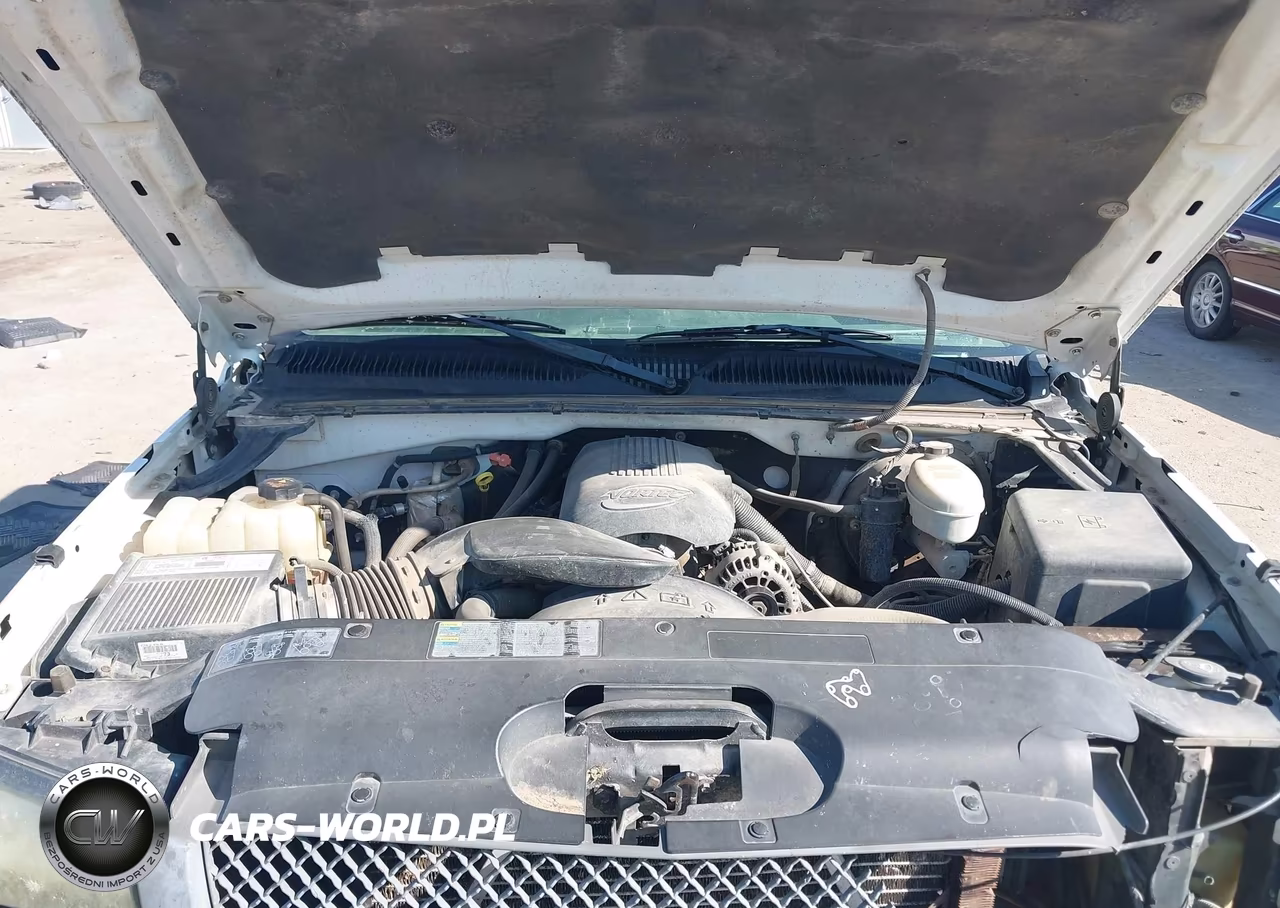 2003 Chevrolet Silverado 1500 Work Truck VIN:1GCEC14VX3Z214146 - 10