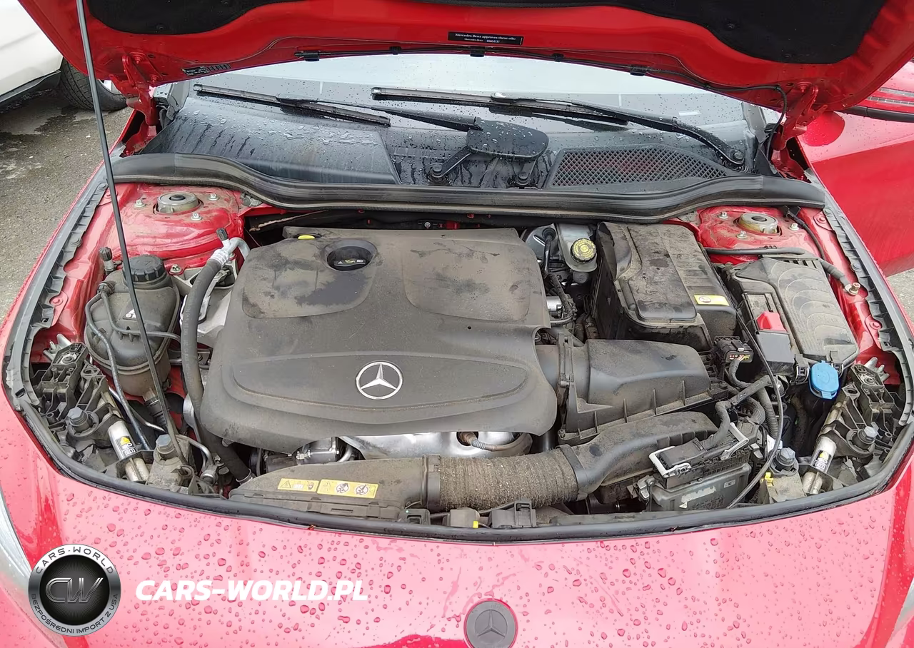 2015 Mercedes-Benz Cla 250 VIN:WDDSJ4EB4FN213977 - 10