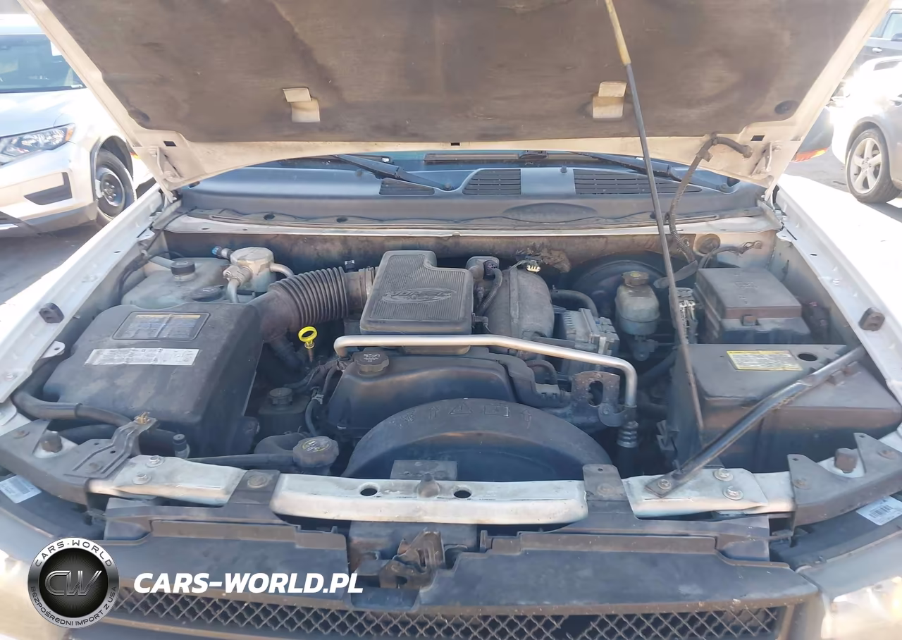 2004 Chevrolet Trailblazer Lt VIN:1GNDT13S542420446 - 10