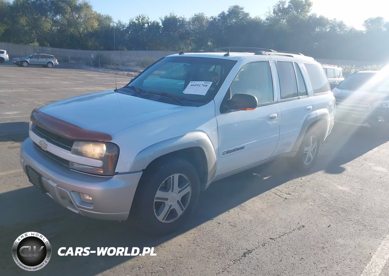 2004 Chevrolet Trailblazer Lt VIN:1GNDT13S542420446 - 2