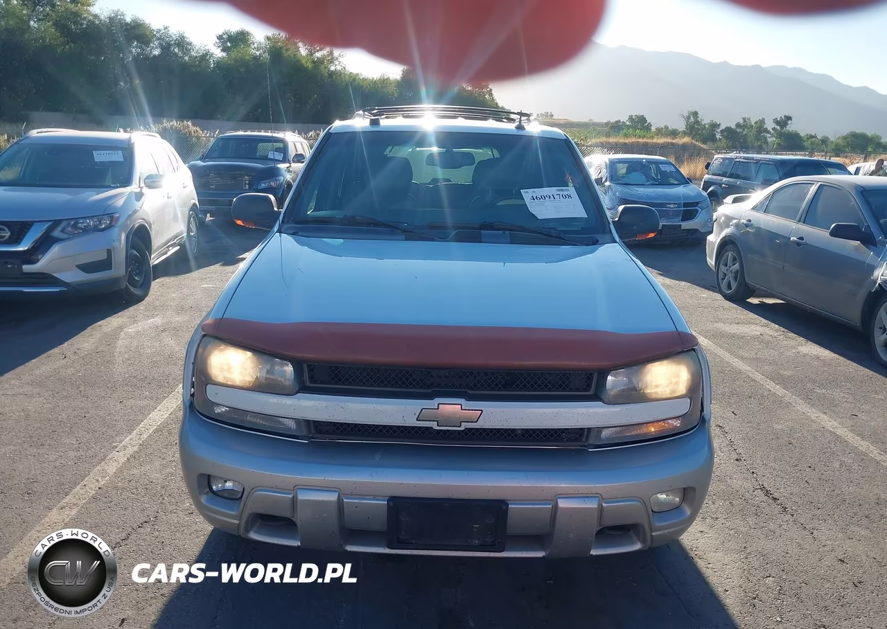 2004 Chevrolet Trailblazer Lt VIN:1GNDT13S542420446 - 6