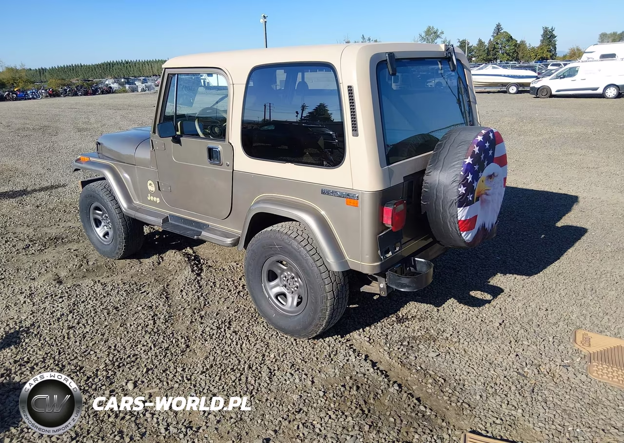 1990 Jeep Wrangler - Yj Sahara VIN:2J4FY49T9LJ549139 - 3