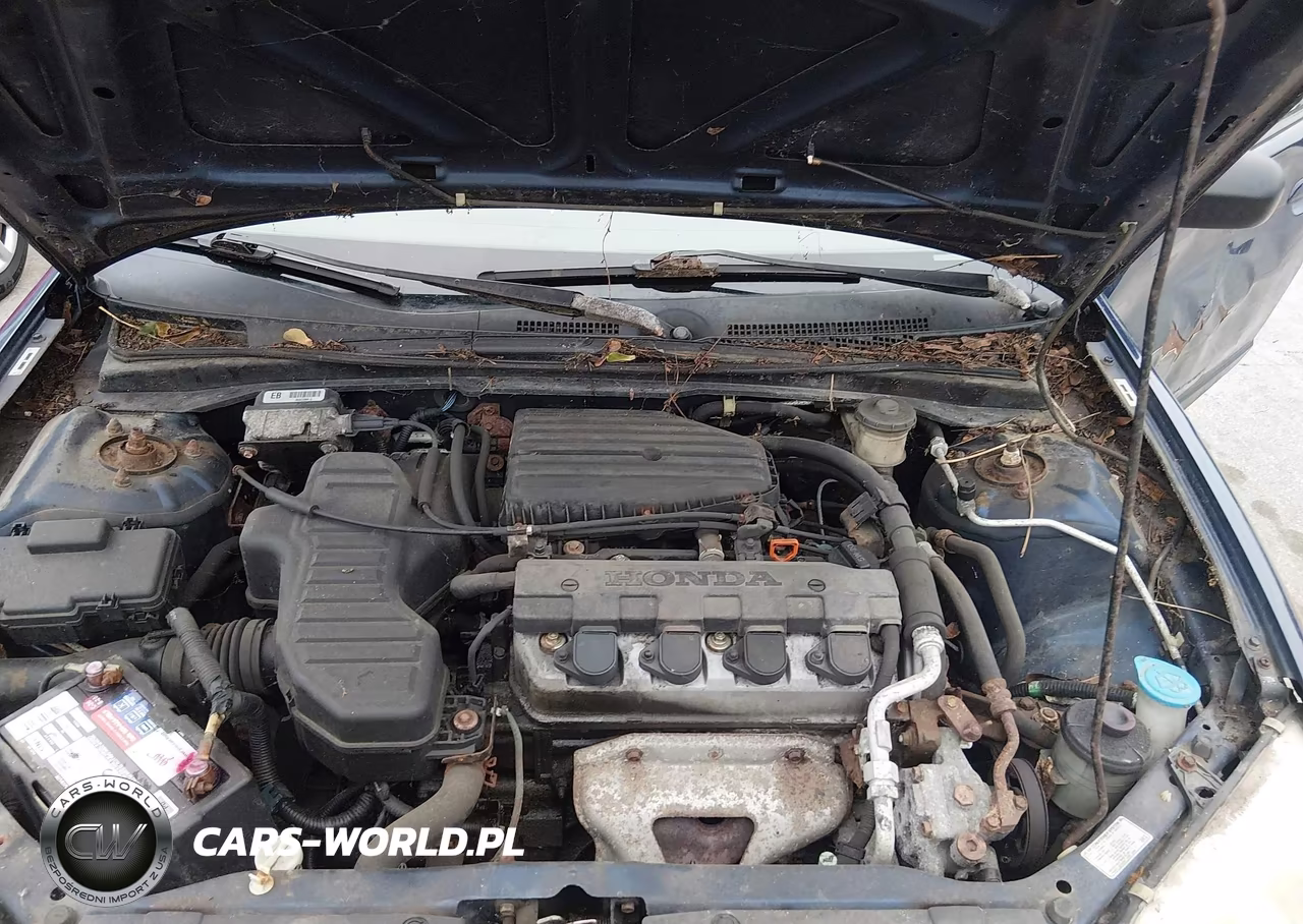 2003 Honda Civic Lx VIN:1HGEM22573L079735 - 10