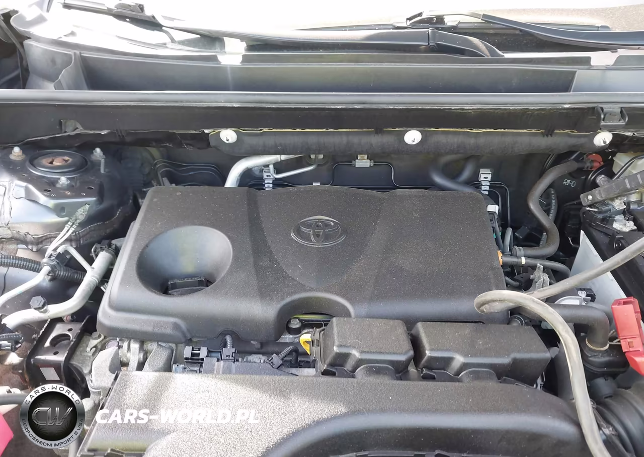 2019 Toyota Rav4 Le VIN:JTMG1RFV9KJ013796 - 10