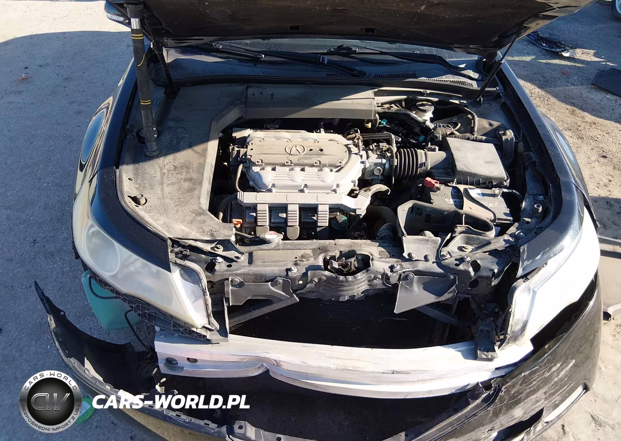 2009 Acura Tl 3.5 VIN:19UUA86539A010787 - 10