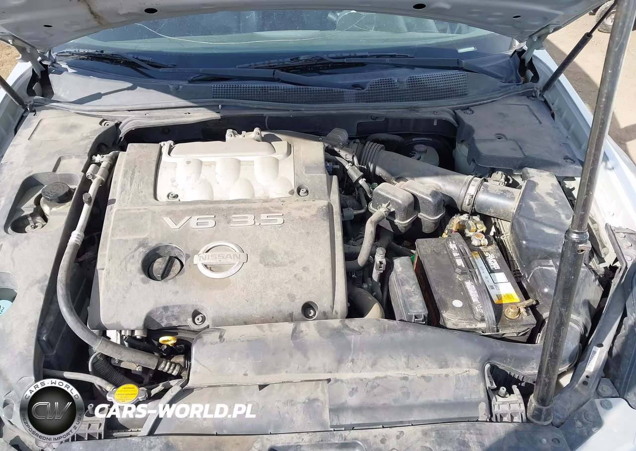 2004 Nissan Maxima 3.5 Se VIN:1N4BA41E74C883094 - 10