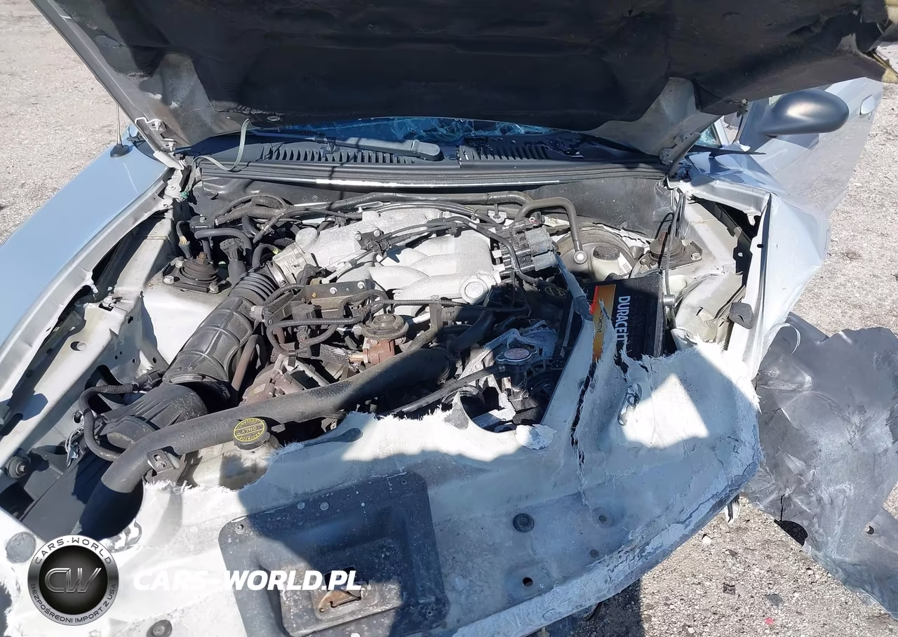 2004 Ford Mustang VIN:1FAFP44614F190556 - 10
