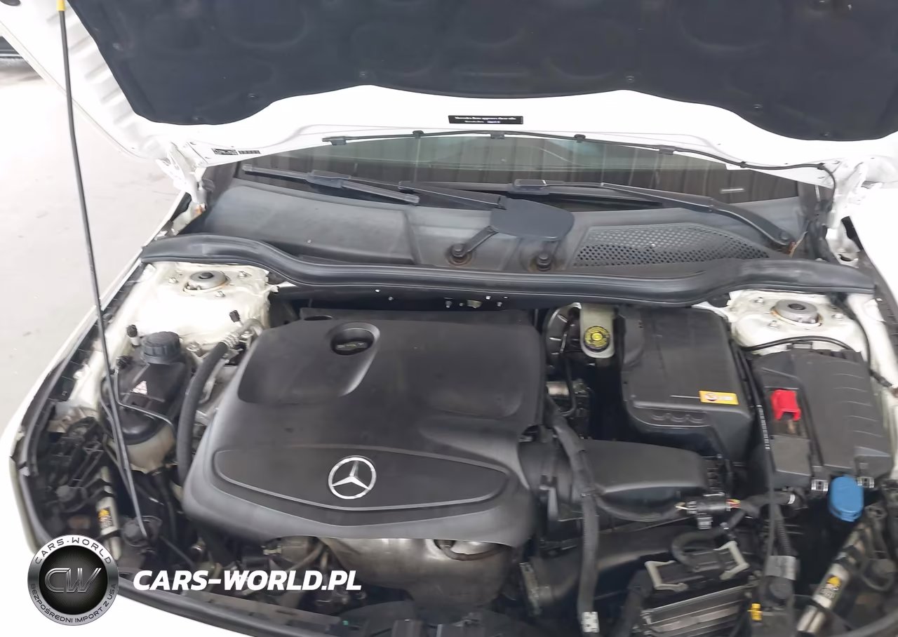 2014 Mercedes-Benz Cla 250 VIN:WDDSJ4EB8EN049096 - 10