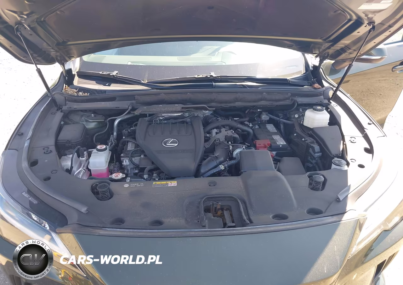 2024 Lexus Rx 350 Premium VIN:2T2BAMCA8RC088134 - 10