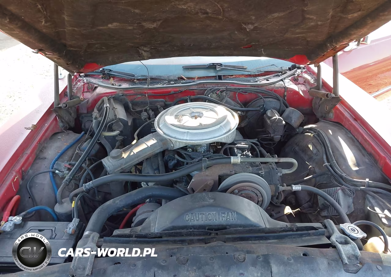 1977 Ford Thunderbird VIN:0000007G87H253711 - 10