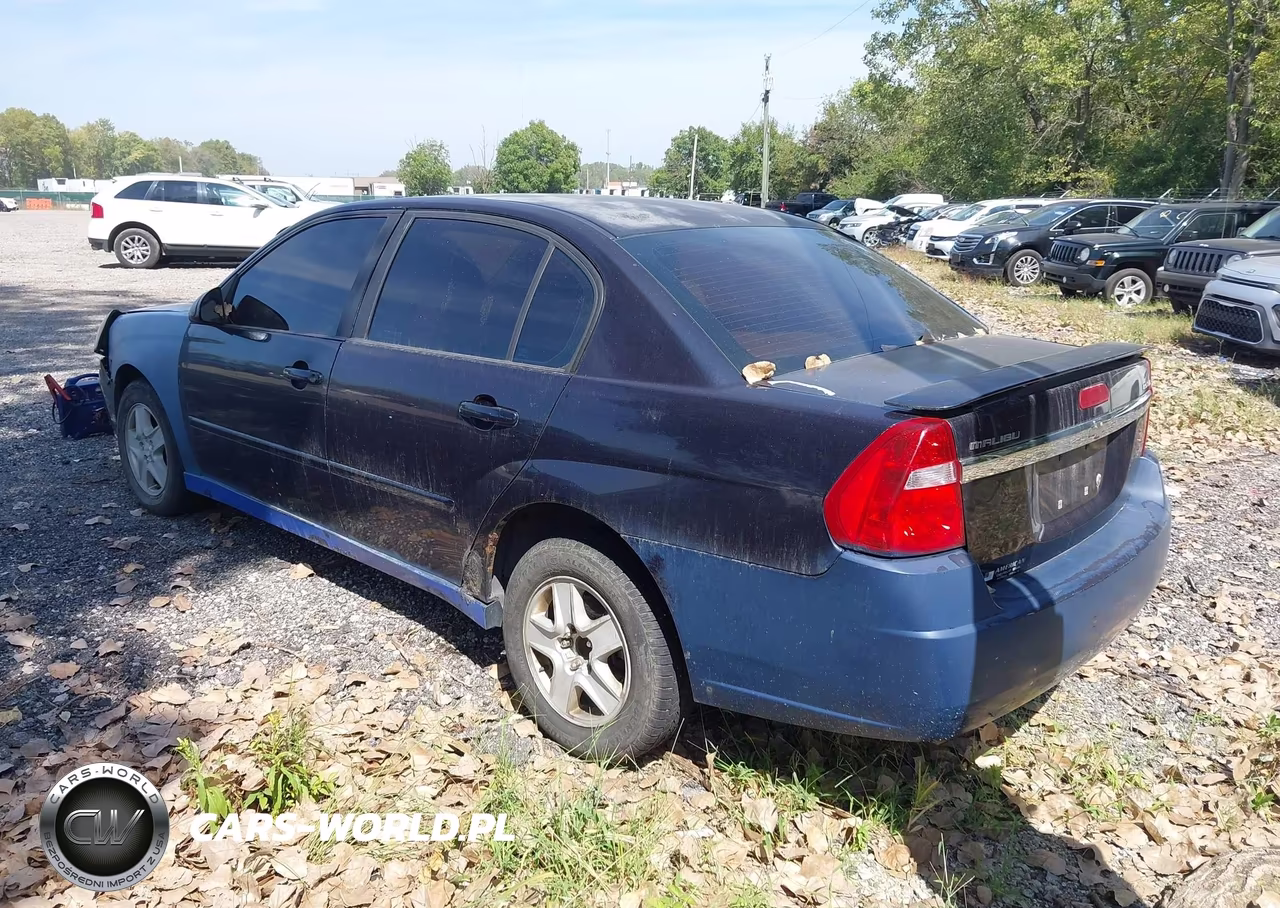 2005 Chevrolet Malibu Ls VIN:1G1ZT54855F335103 - 3