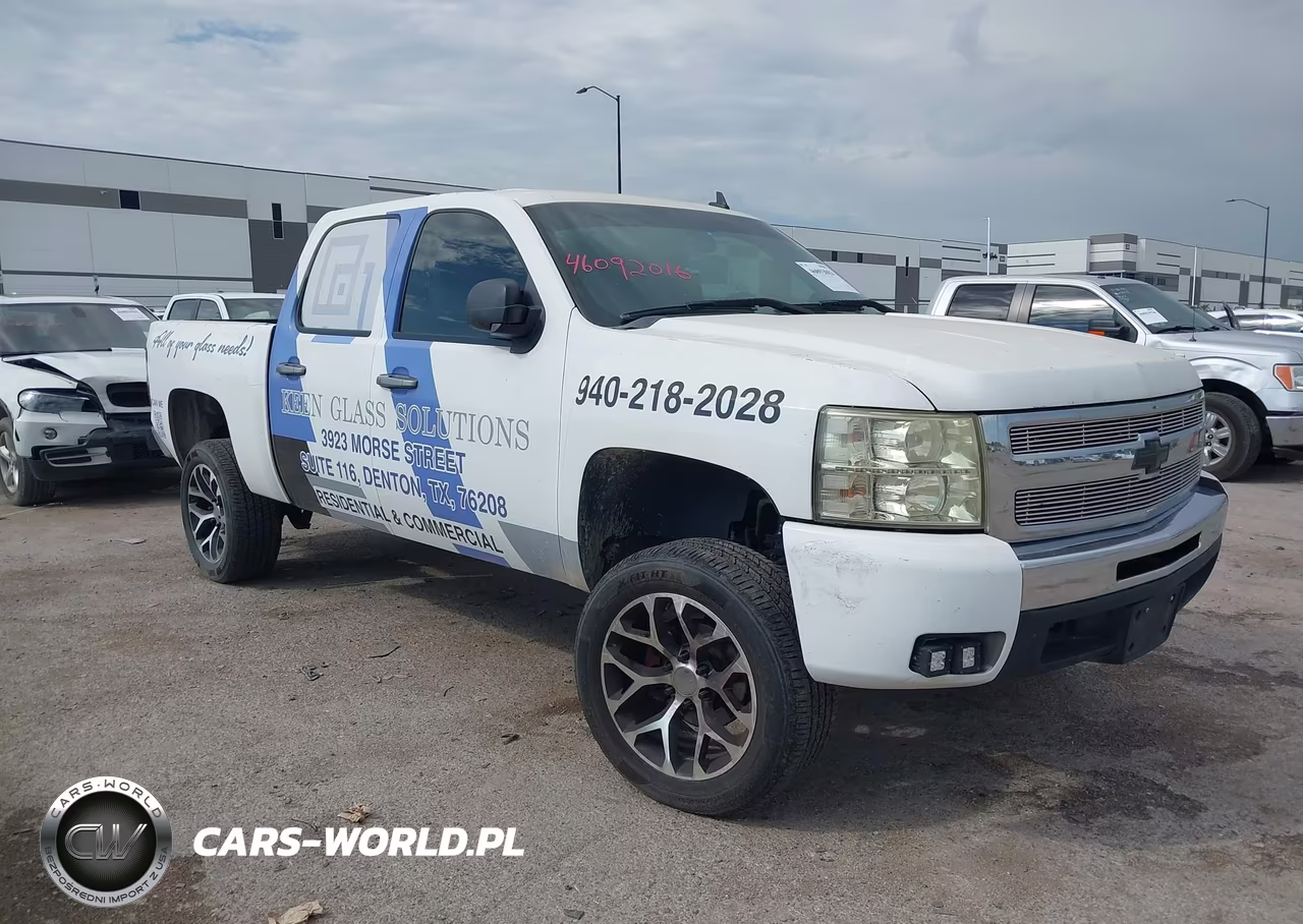 2009 Chevrolet Silverado 1500 Ls VIN:3GCEC13C69G102999 - 1
