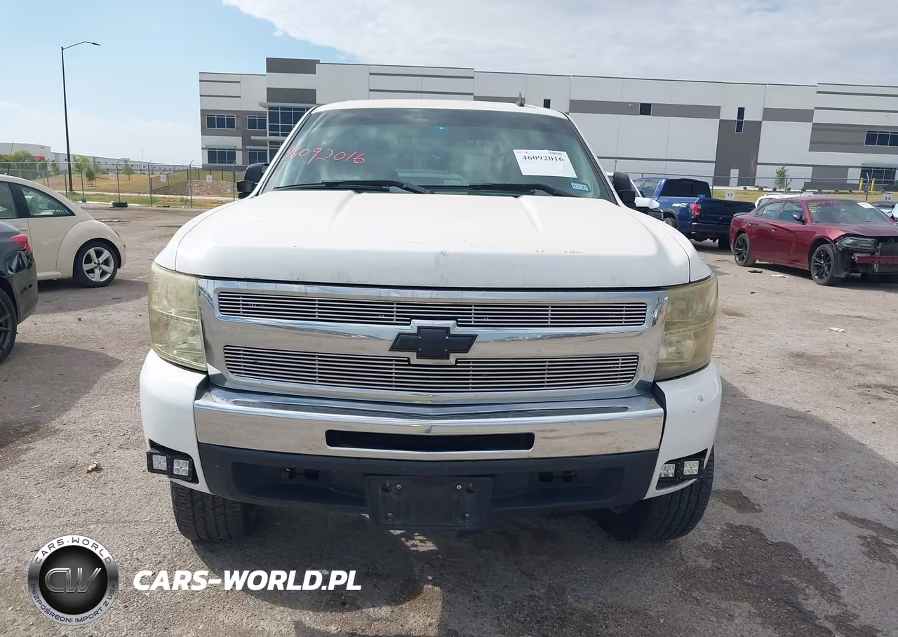 2009 Chevrolet Silverado 1500 Ls VIN:3GCEC13C69G102999 - 12