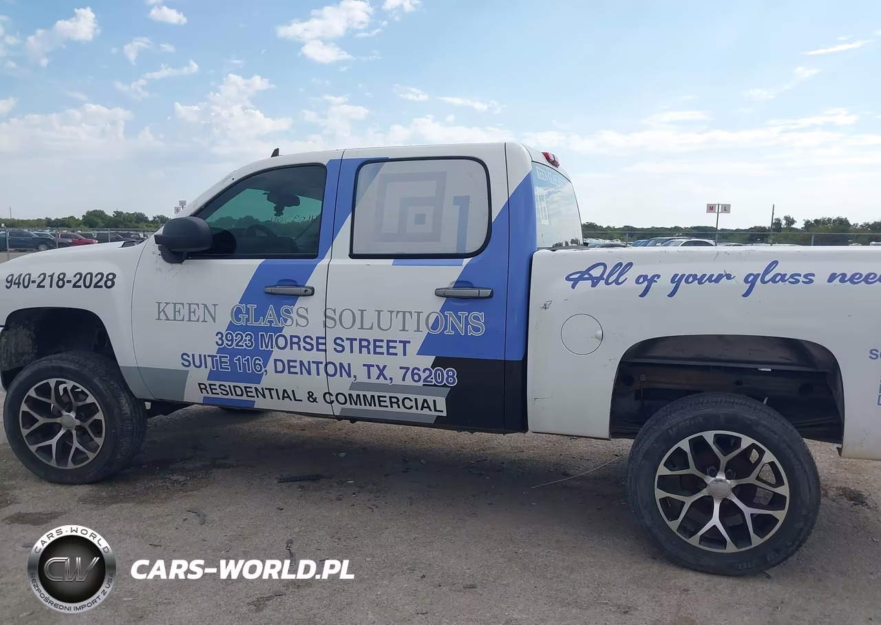2009 Chevrolet Silverado 1500 Ls VIN:3GCEC13C69G102999 - 14