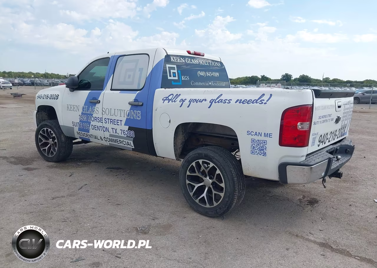 2009 Chevrolet Silverado 1500 Ls VIN:3GCEC13C69G102999 - 3
