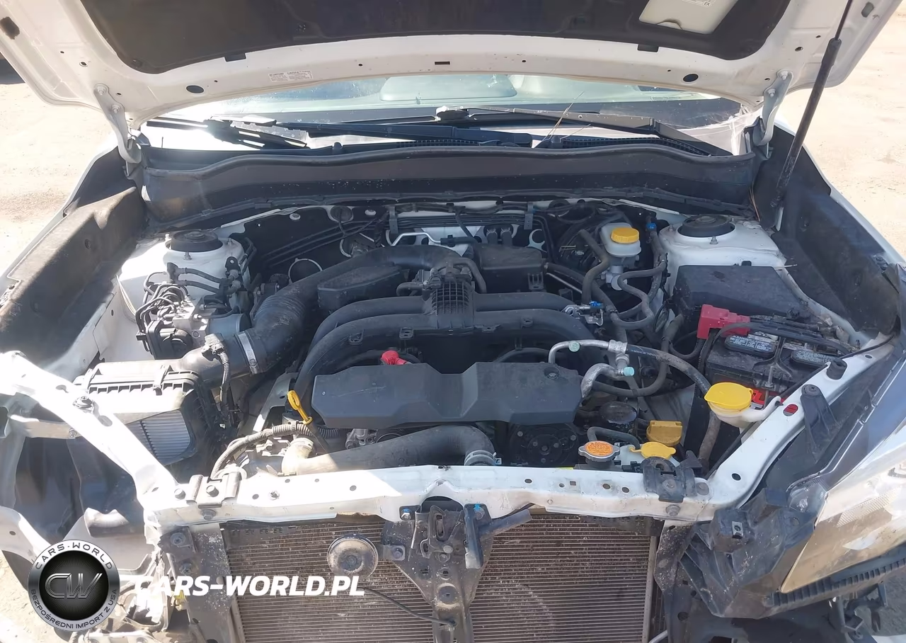 2017 Subaru Forester 2.5I Touring VIN:JF2SJAWC5HH465143 - 10