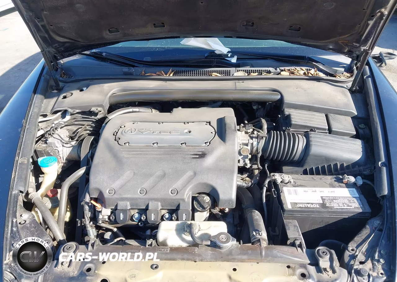 2006 Acura Tl VIN:19UUA662X6A024272 - 10