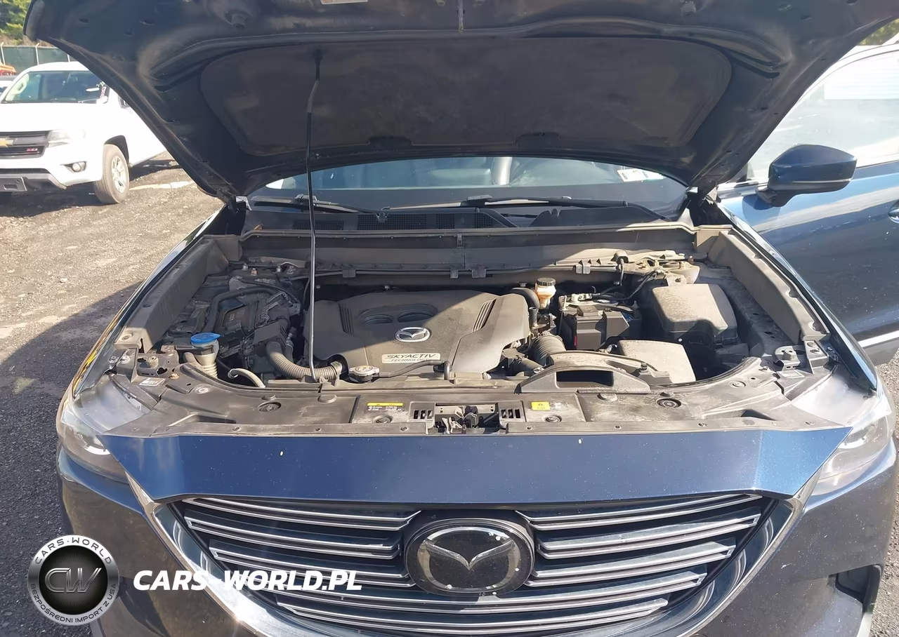 2019 Mazda Cx-9 Touring VIN:JM3TCBCY1K0332847 - 10