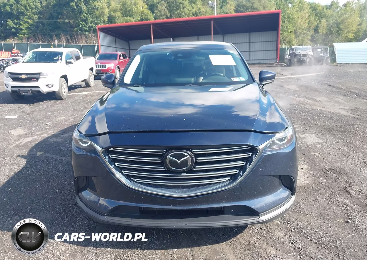 2019 Mazda Cx-9 Touring VIN:JM3TCBCY1K0332847 - 12