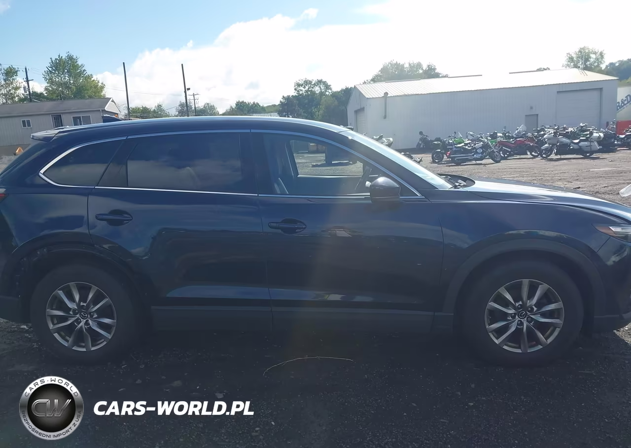 2019 Mazda Cx-9 Touring VIN:JM3TCBCY1K0332847 - 13