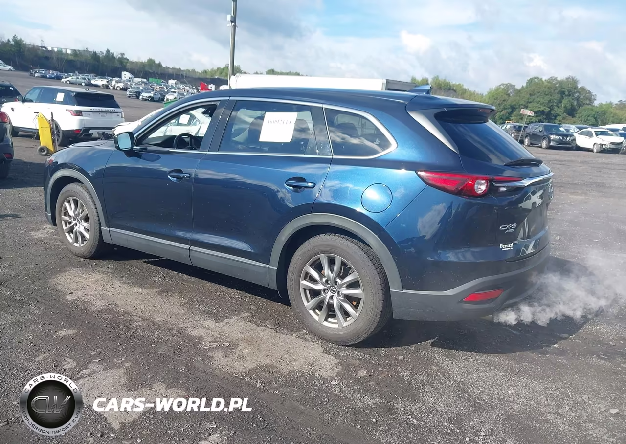 2019 Mazda Cx-9 Touring VIN:JM3TCBCY1K0332847 - 3