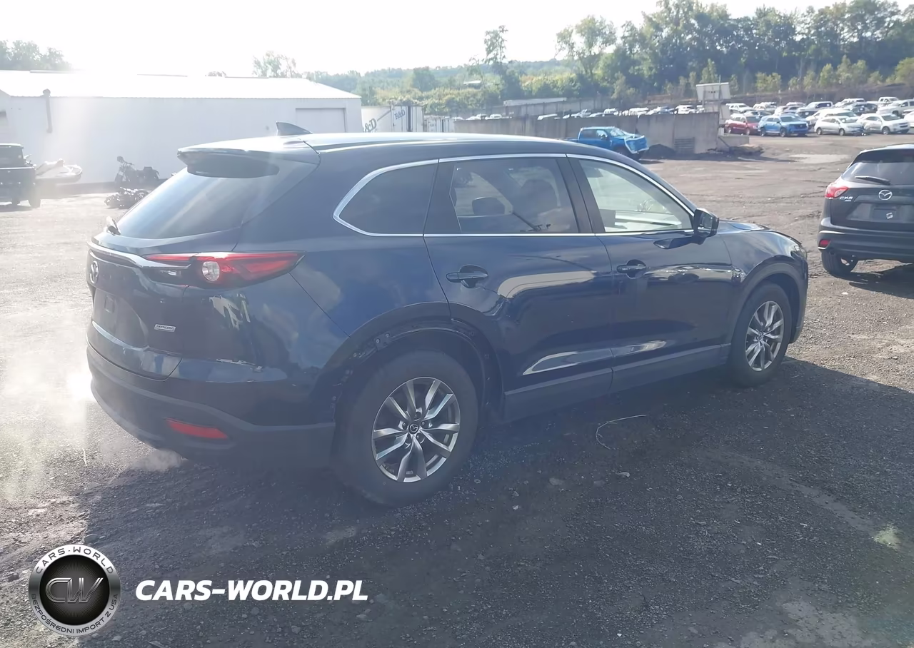 2019 Mazda Cx-9 Touring VIN:JM3TCBCY1K0332847 - 4
