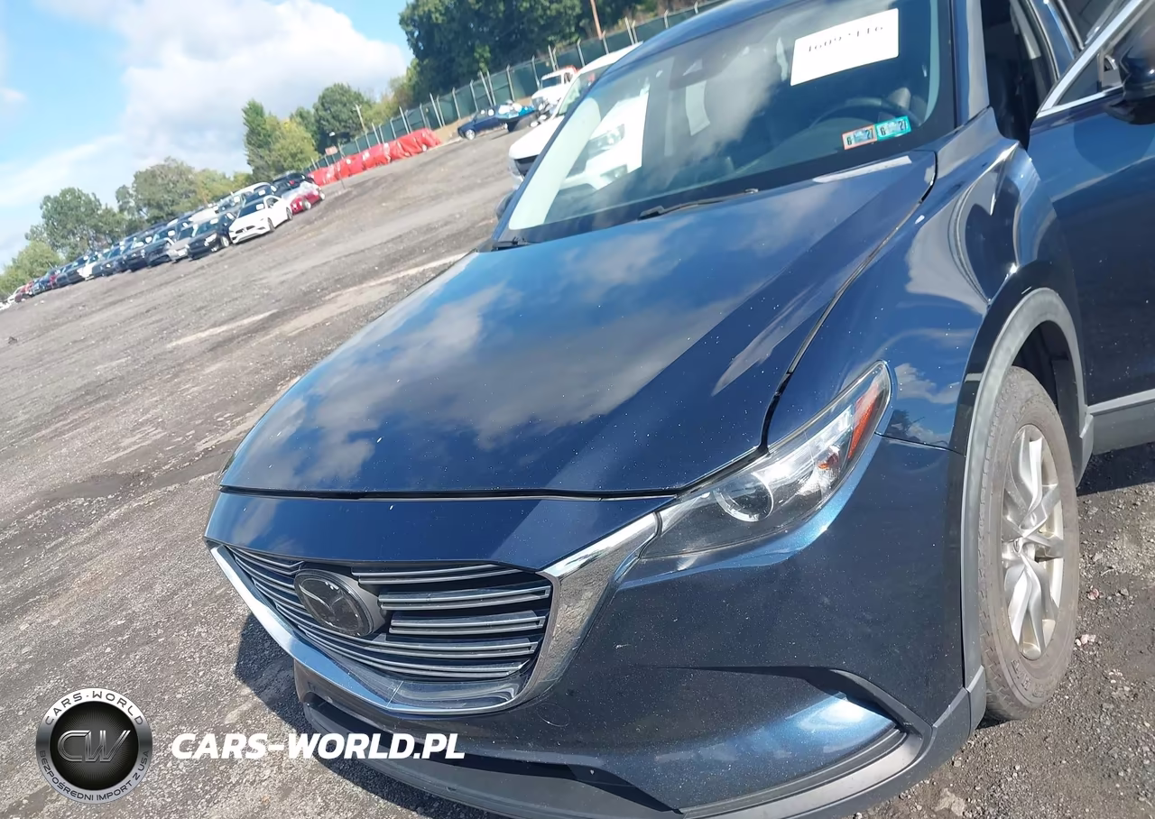 2019 Mazda Cx-9 Touring VIN:JM3TCBCY1K0332847 - 6