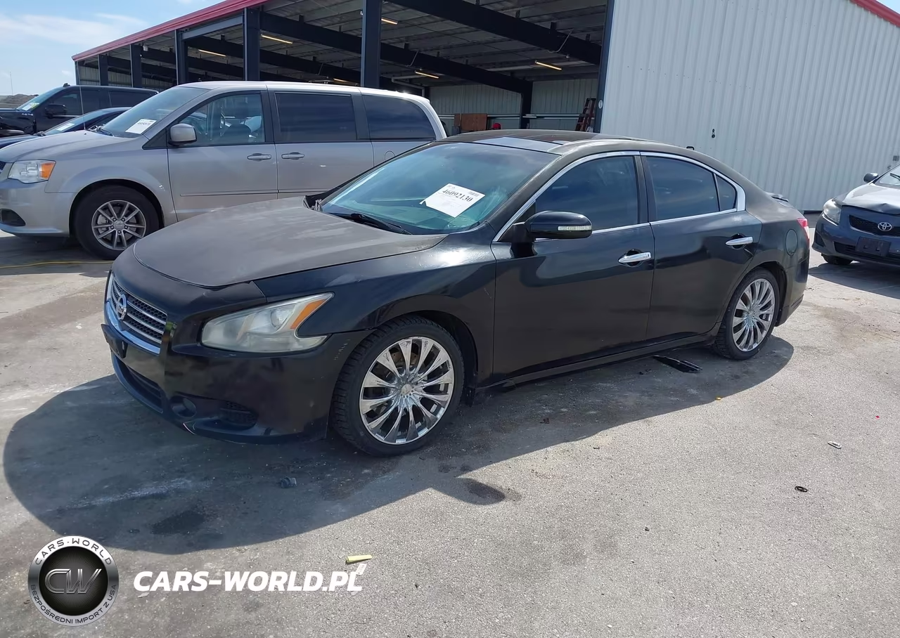 2009 Nissan Maxima 3.5 Sv VIN:1N4AA51E59C859109 - 2
