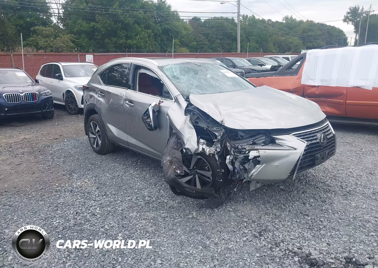 2021 Lexus Nx 300 VIN:JTJGARDZ9M5031553 - 1