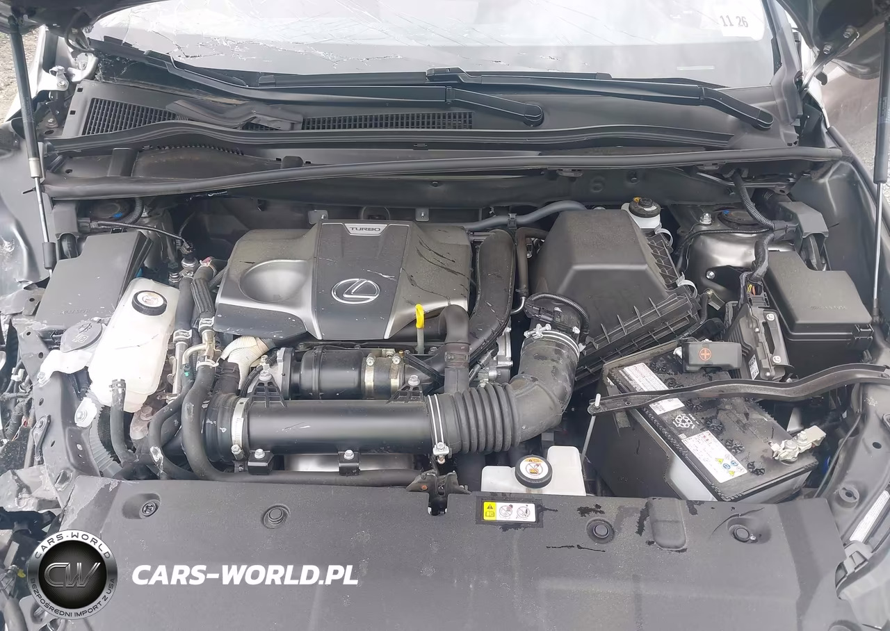 2021 Lexus Nx 300 VIN:JTJGARDZ9M5031553 - 10