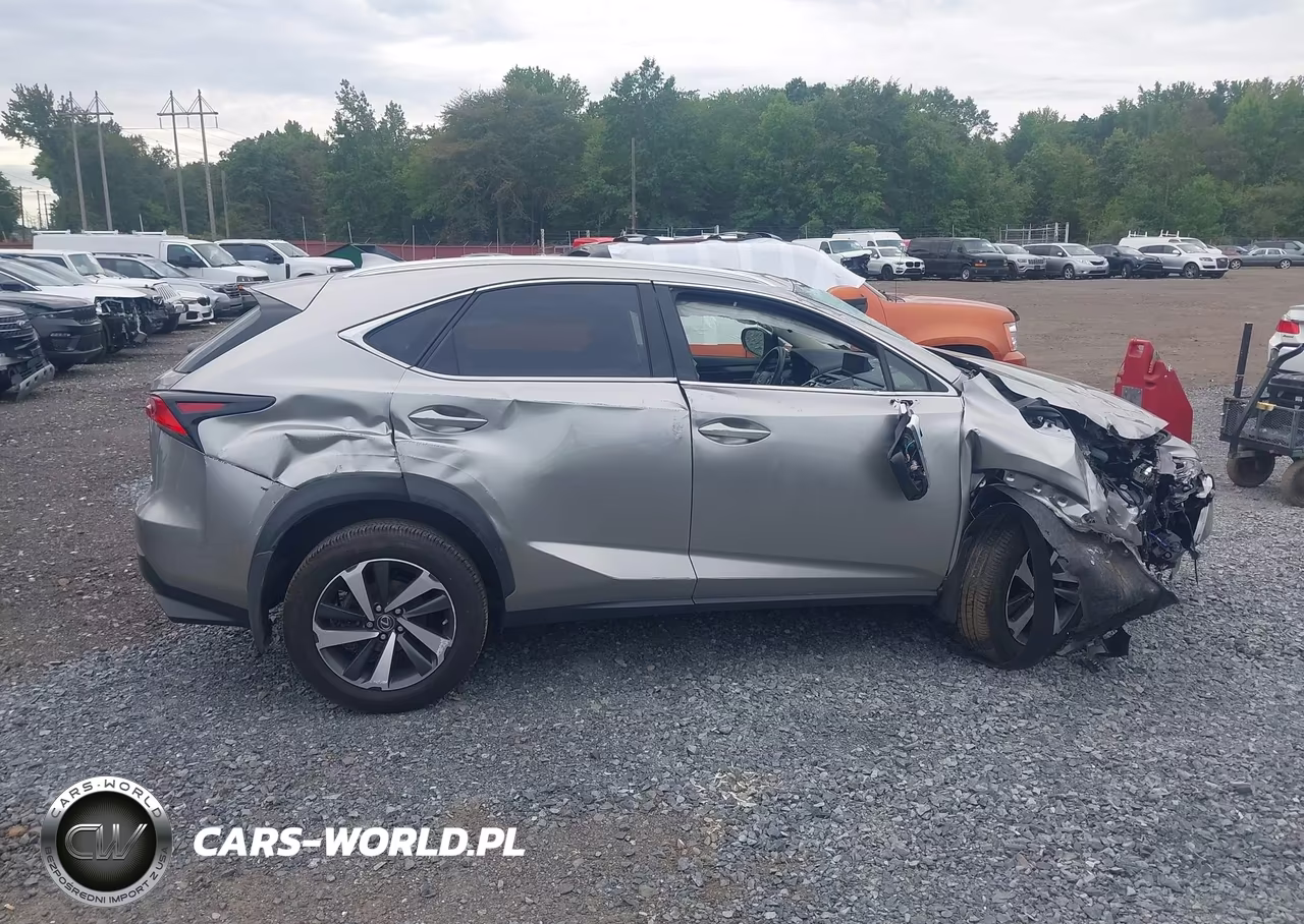 2021 Lexus Nx 300 VIN:JTJGARDZ9M5031553 - 13
