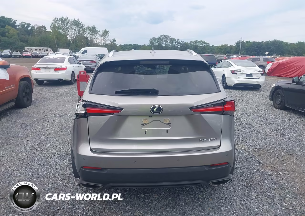 2021 Lexus Nx 300 VIN:JTJGARDZ9M5031553 - 16