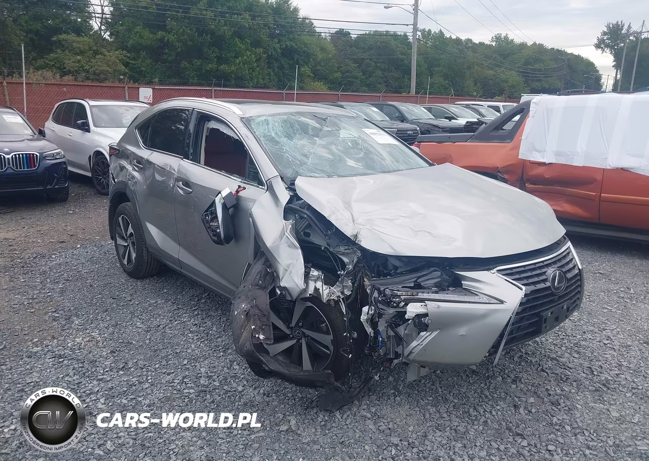 2021 Lexus Nx 300 VIN:JTJGARDZ9M5031553 - 17