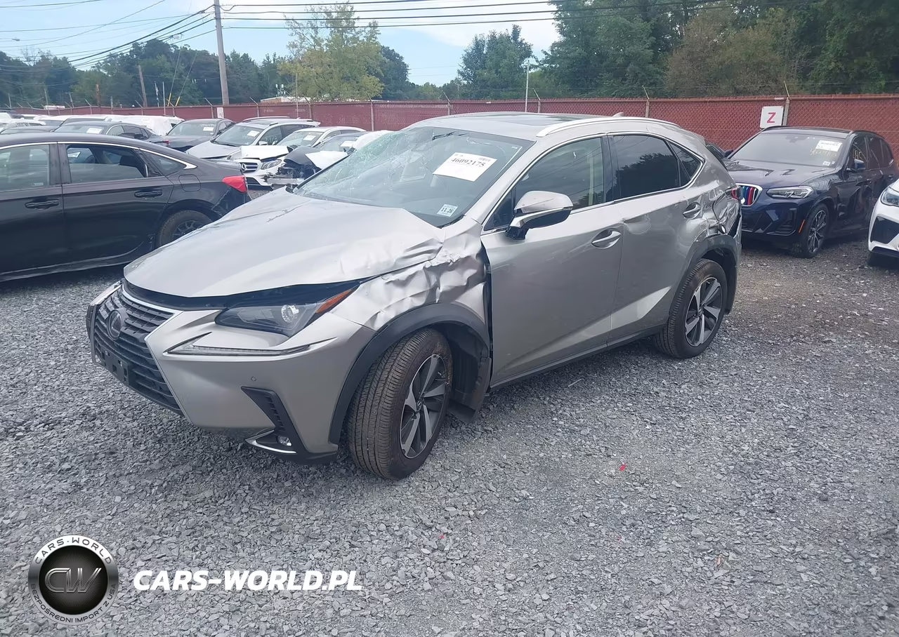 2021 Lexus Nx 300 VIN:JTJGARDZ9M5031553 - 2