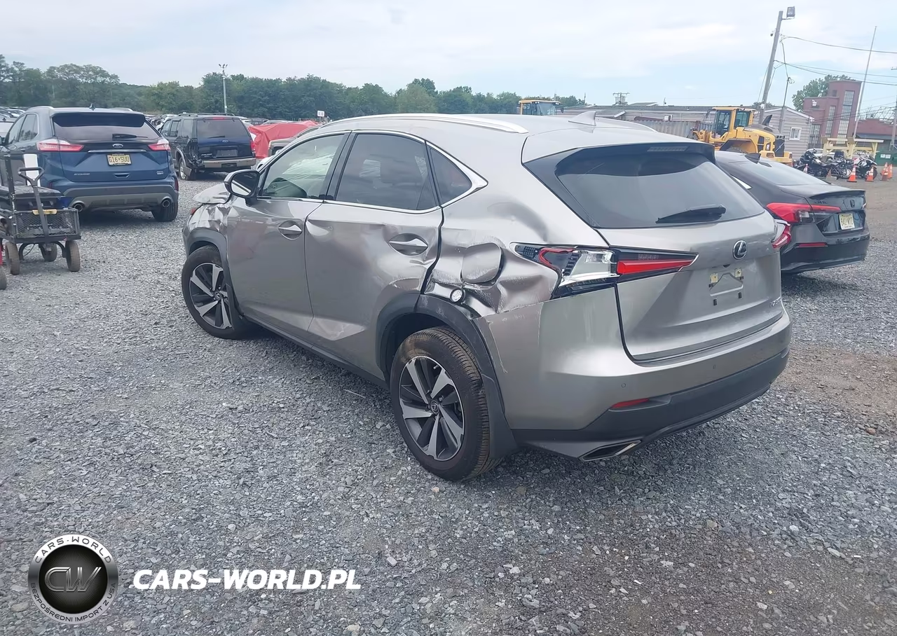 2021 Lexus Nx 300 VIN:JTJGARDZ9M5031553 - 3