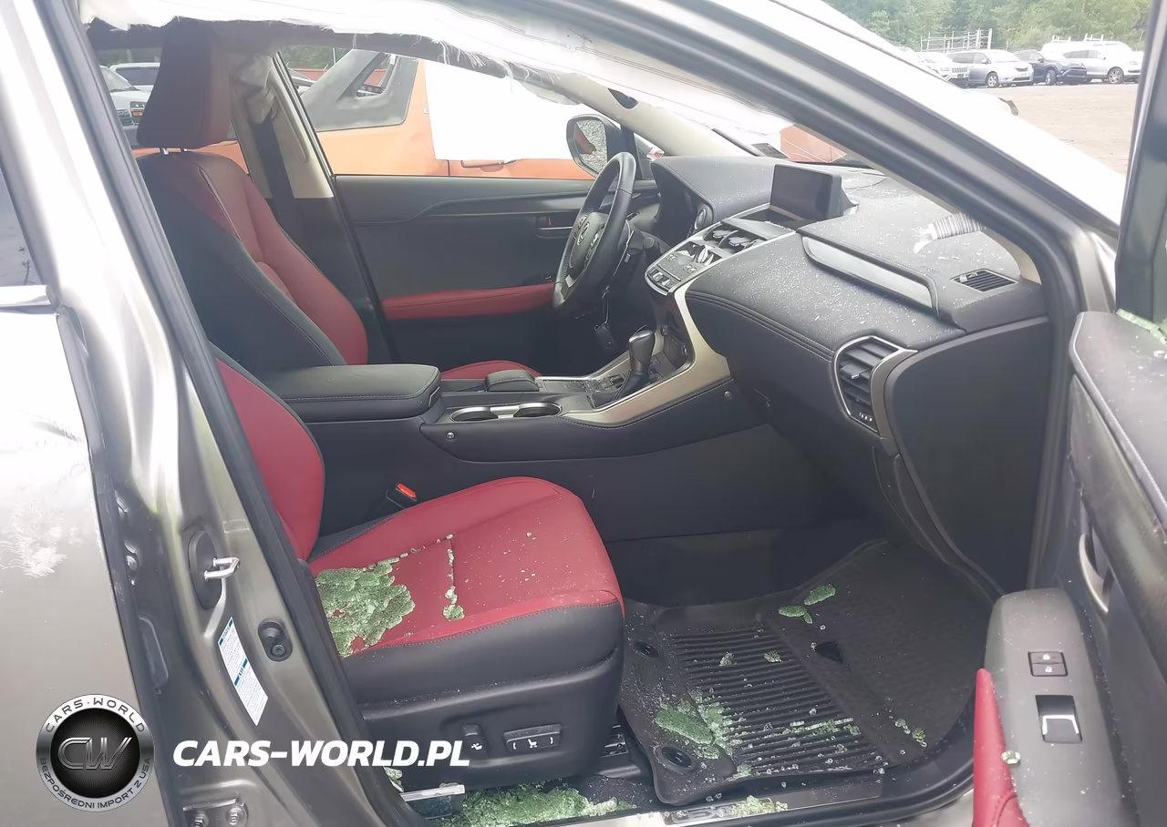 2021 Lexus Nx 300 VIN:JTJGARDZ9M5031553 - 5