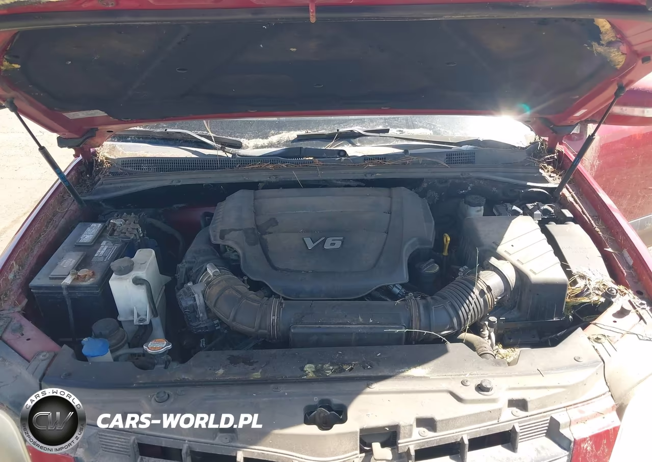 2009 Kia Borrego Ex V6 VIN:KNDJH741095017972 - 10