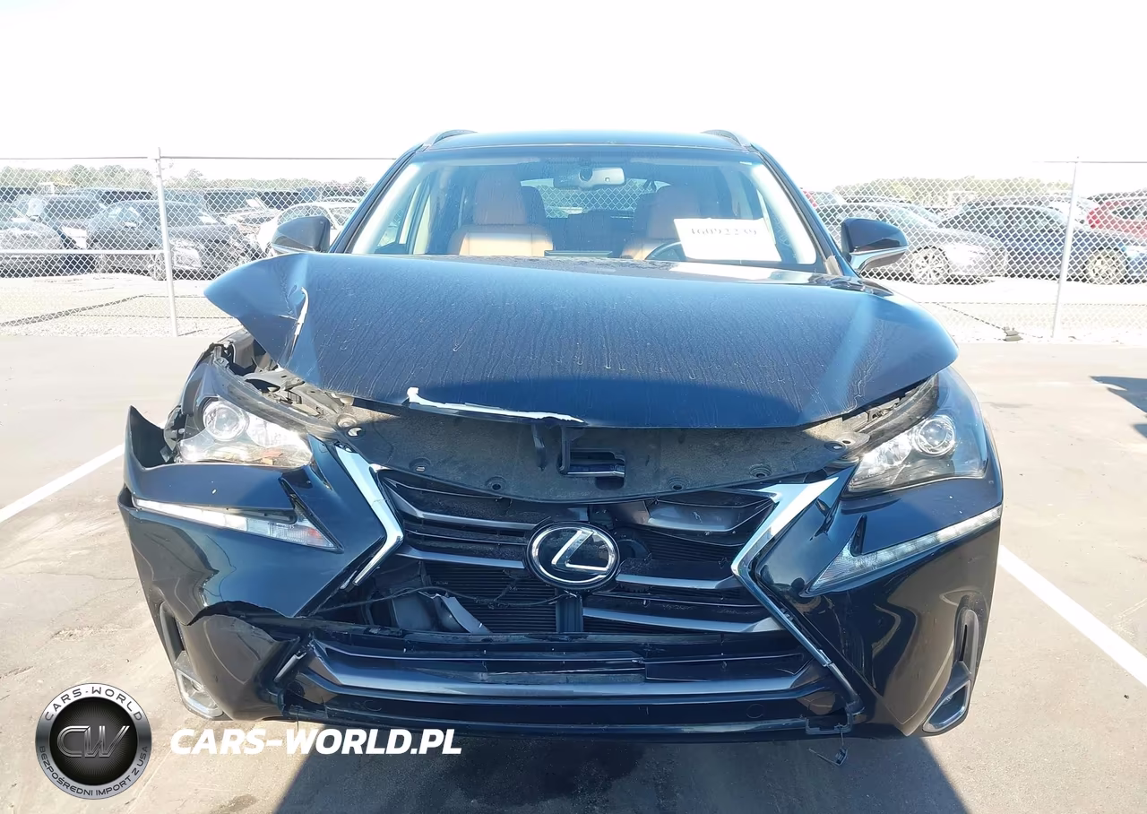 2015 Lexus Nx 200T VIN:JTJYARBZ8F2003870 - 12